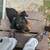 Rottwieler Male Puppy 1 thumbnail
