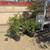 Yard Work Helpers Wanted 4 thumbnail