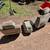 Front seat set & Rear seat from 2001 GMC truck 2 thumbnail