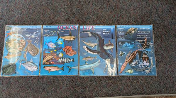 Laminated Ocean Posters 1