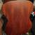 Parlor size 2009 ALVAREZ RF300 Plus Case 4 thumbnail