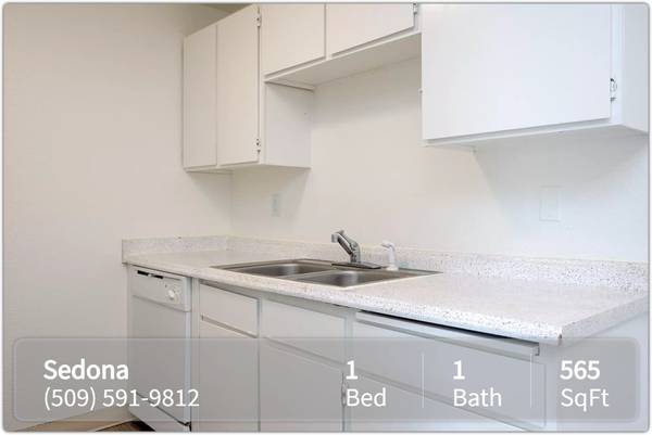 $1,049 / 1br - 565ft2 - Fabulous 1 bed / 1 bath, 565 Sq Feet in a prime location! (Pasco)63697300726531120