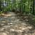 Quiet, Secluded Camping Spaces Available 5 thumbnail