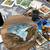 STUDIO 2424: PRIVATE STUDIO FOR ARTISTS IN PROFESSIONAL WORKSPACE 8 thumbnail