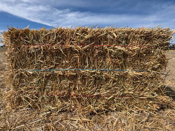 Hay For Sale 1