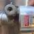 MALLORY IGNITION Distributor  Dual Point 2664501 Mechanical Tach Drive Corvette 2 thumbnail
