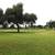 2/2 Condo with Golf Course Views! 17 thumbnail