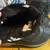 Thinsulate Water Resistant Boots Size 10 Mens 3 thumbnail