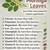 Moringa 7 thumbnail