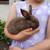 Bunnies 1 thumbnail
