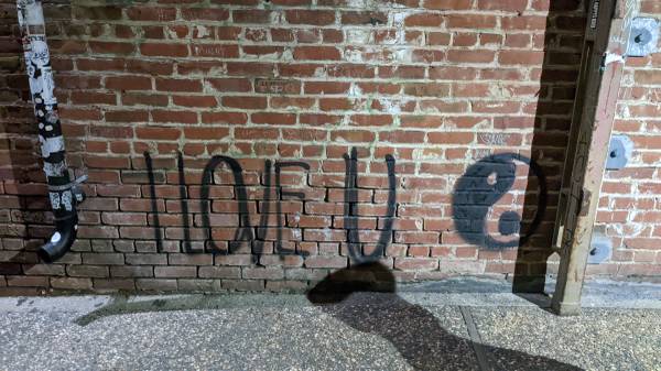 Free RIP RAP with Delivery 1