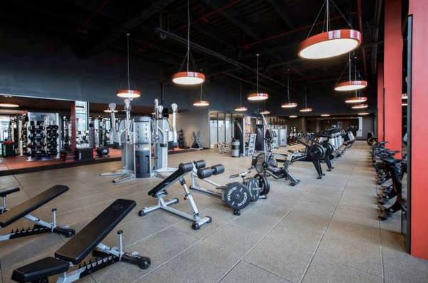 $2,000 / 1br - Amazing Location! Seeking 1 New Roomie in LIC Near Queens Plaza! (3x2) (Long Island City, Queens, New York, NY)63788456959363124