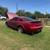 2005 Mustang 2 thumbnail