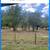 Site prep 6 thumbnail