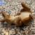 Porcelain Rabbit Figurines (5) 7 thumbnail