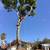 Tree service 1 thumbnail