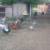 Ducks 2 thumbnail