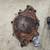 1987-93 Mustang AC Compressor & Pullies (Untested) 3 thumbnail