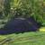 🚜 Asphalt Millings Delivered – Driveway, Parking, Pads – Orlando Area 8 thumbnail