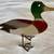 Vintage Bovano of Cheshire 5 inch Mallard Duck Standing Sculpture Hand 1 thumbnail