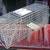 Live Animal Traps  -  Individual price is $7.00 to 16 thumbnail