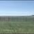 Horse Boarding 7 thumbnail