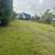 Proffesional Yard Maintenance 4 thumbnail