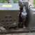 Leland Ohio Military Army Gas Diesel Generator 1 thumbnail