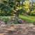 3b 2ba Available in Jackson to OWN 5 thumbnail