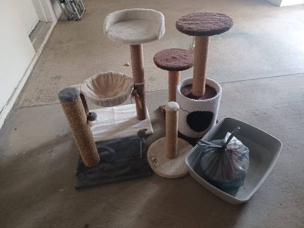 Variety cat scratching posts 1