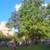 NO FEE!  Sundrenched, charming south facing spacious Greenwch Vil 1br 9 thumbnail