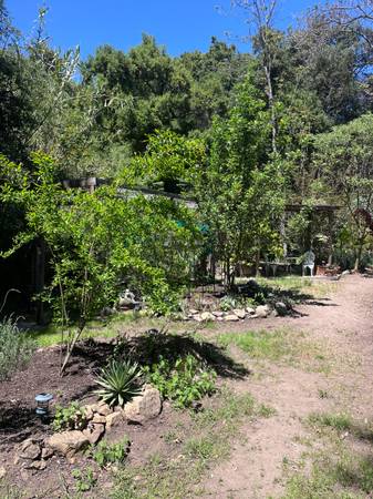 Topanga Canyon - in Hills - Near Topanga Village 1