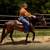 BEGINNER SAFE HORSES AVAILABLE | FAMILY HORSES | TRAIL PARTNERS | 15 thumbnail