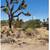 17000 sq" RES  lot in Yucca Valley 3 thumbnail