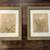 Pair of Framed Florals 2 thumbnail
