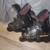 RollerBlade skates ABT Aero 4 wheels with adjustable brakes 1 thumbnail