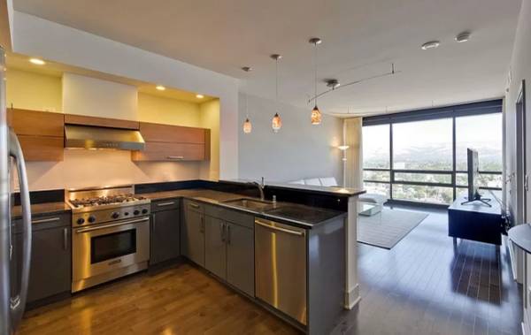 $1,995 / 1br - 855ft2 - Space Class Simplicity Grace Color (SOMA / south beach)64207198445569124