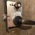 Schlage mortise lockset 1 thumbnail
