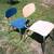 School chairs 3 thumbnail