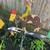 Old Cowboy Whirligig. 9 thumbnail
