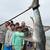 34 Wellcraft SCARAB private fishing charters 14 thumbnail