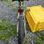 1982 schwinn preadator chromo 4 thumbnail