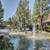 MOVE-IN SPECIALS! APPLICATION FEES WAIVED! 1 BD/ 1 BTH! $2075- $2290! 3 thumbnail