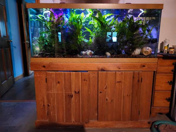 Acuario de 75 galones63843456291203120