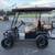Brand New Gas Golf Carts - Public Auction - No Reserves 6 thumbnail