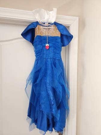 Disney Descendants Deluxe EVIE Costume 1