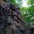 (1Br+Loft ) 4 Season Cabin Rental NW Wisconsin 19 thumbnail