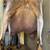 ADGA dairy goats and more 1 thumbnail