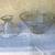 Spodie Odie Bowl 3 thumbnail