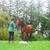 Broke, Trail ridden, Arabian Gelding 5 thumbnail